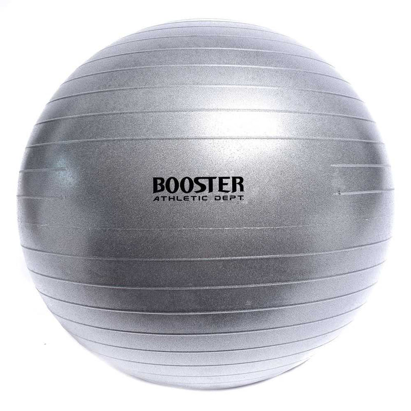 Gym Ball Booster