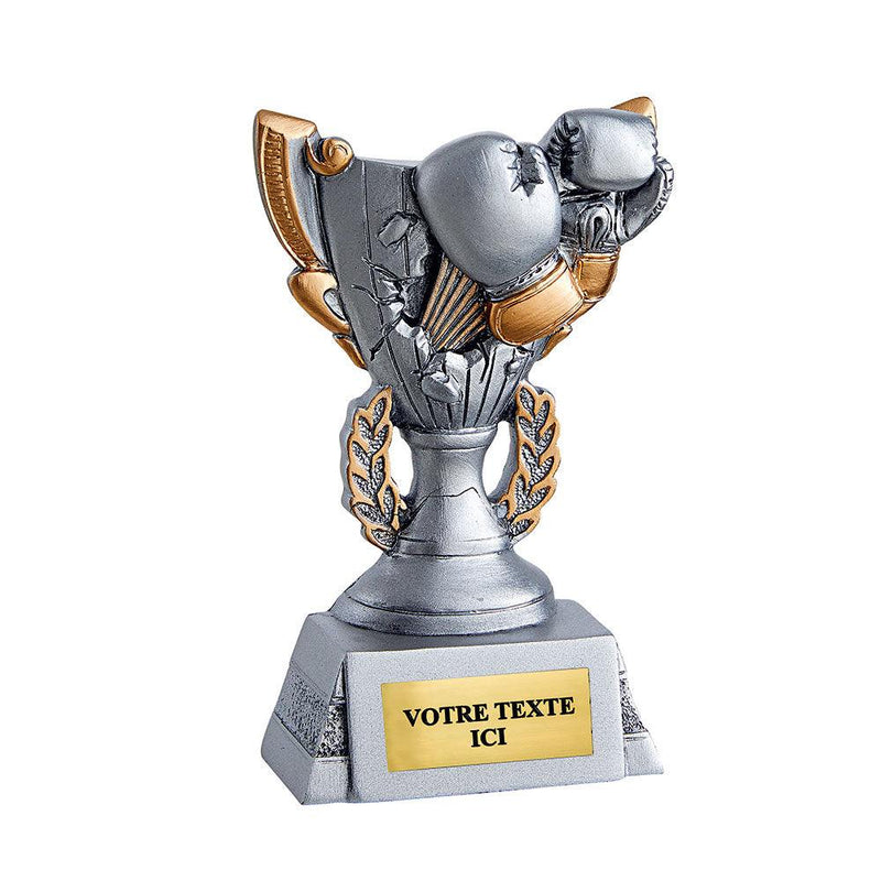 Trophée résine Boxe RS5026