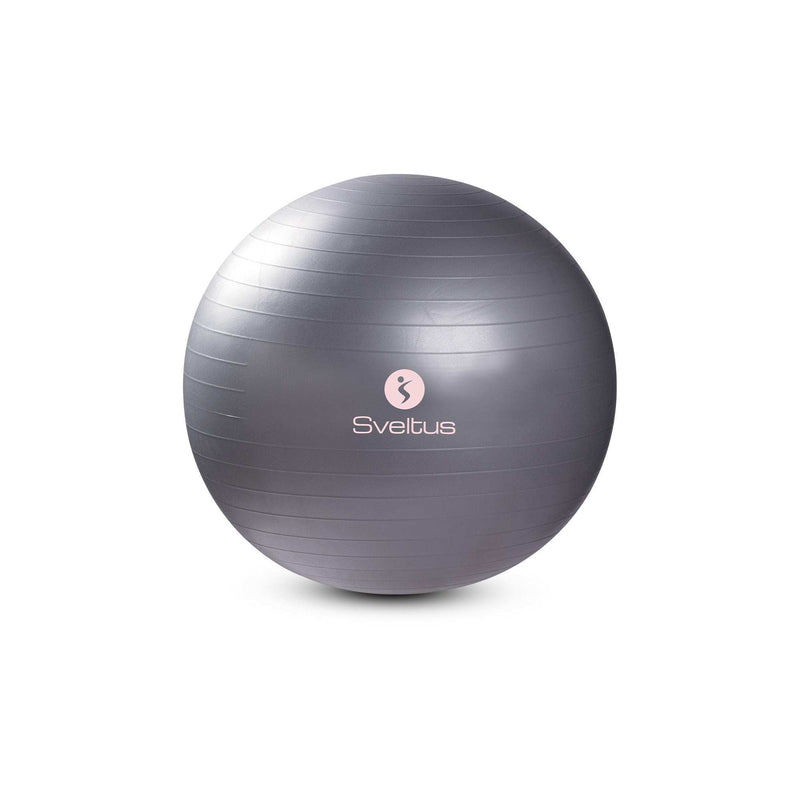 Gymball gris Ø65 cm (boite) Sveltus