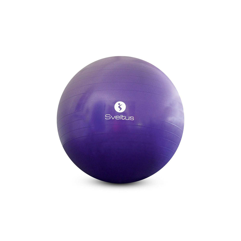 Gymball parme Ø75 cm (boite) Sveltus