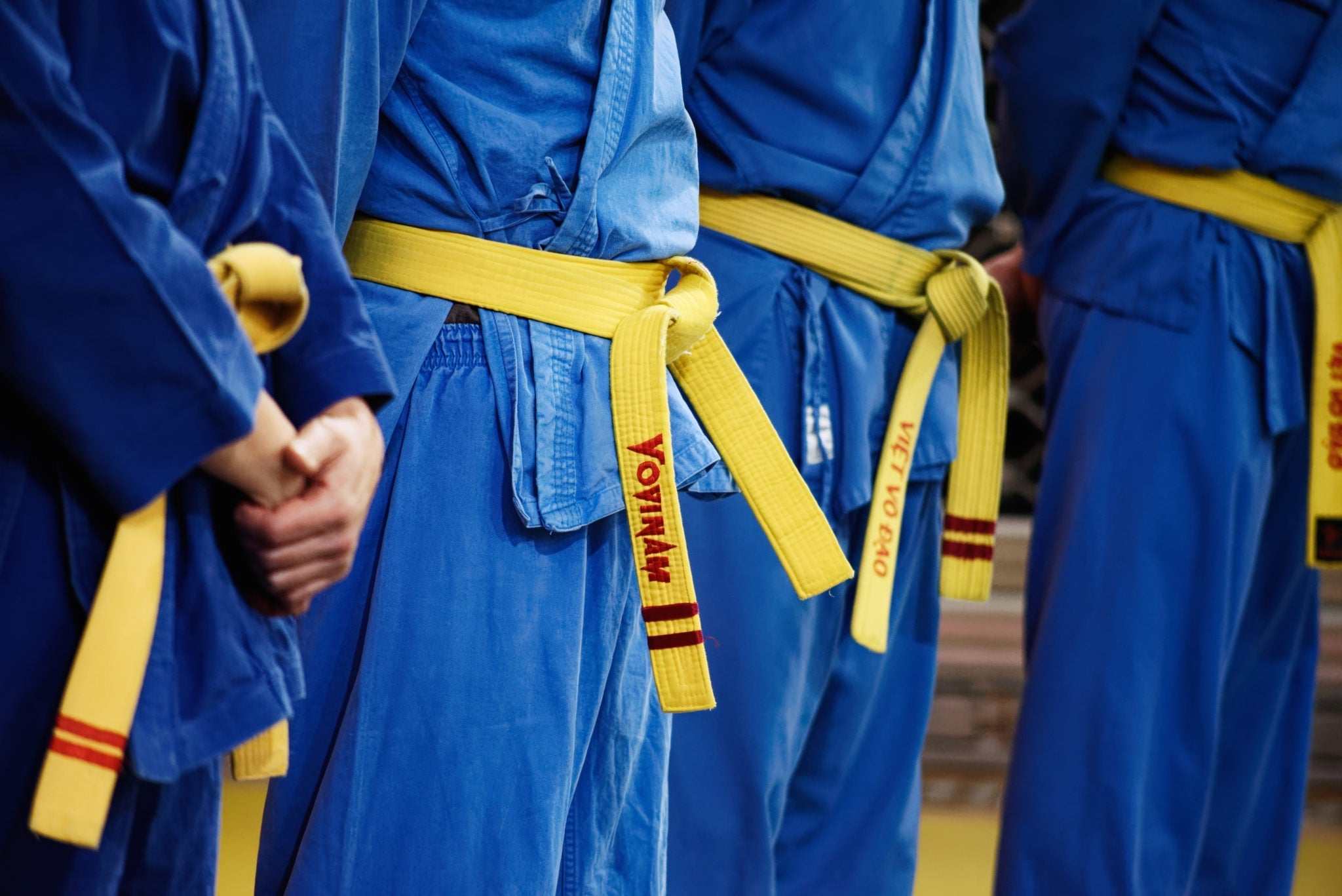 L'Histoire du Viet Vo Dao avec des maîtres en kimono pratiquant des techniques d'arts martiaux vietnamiens