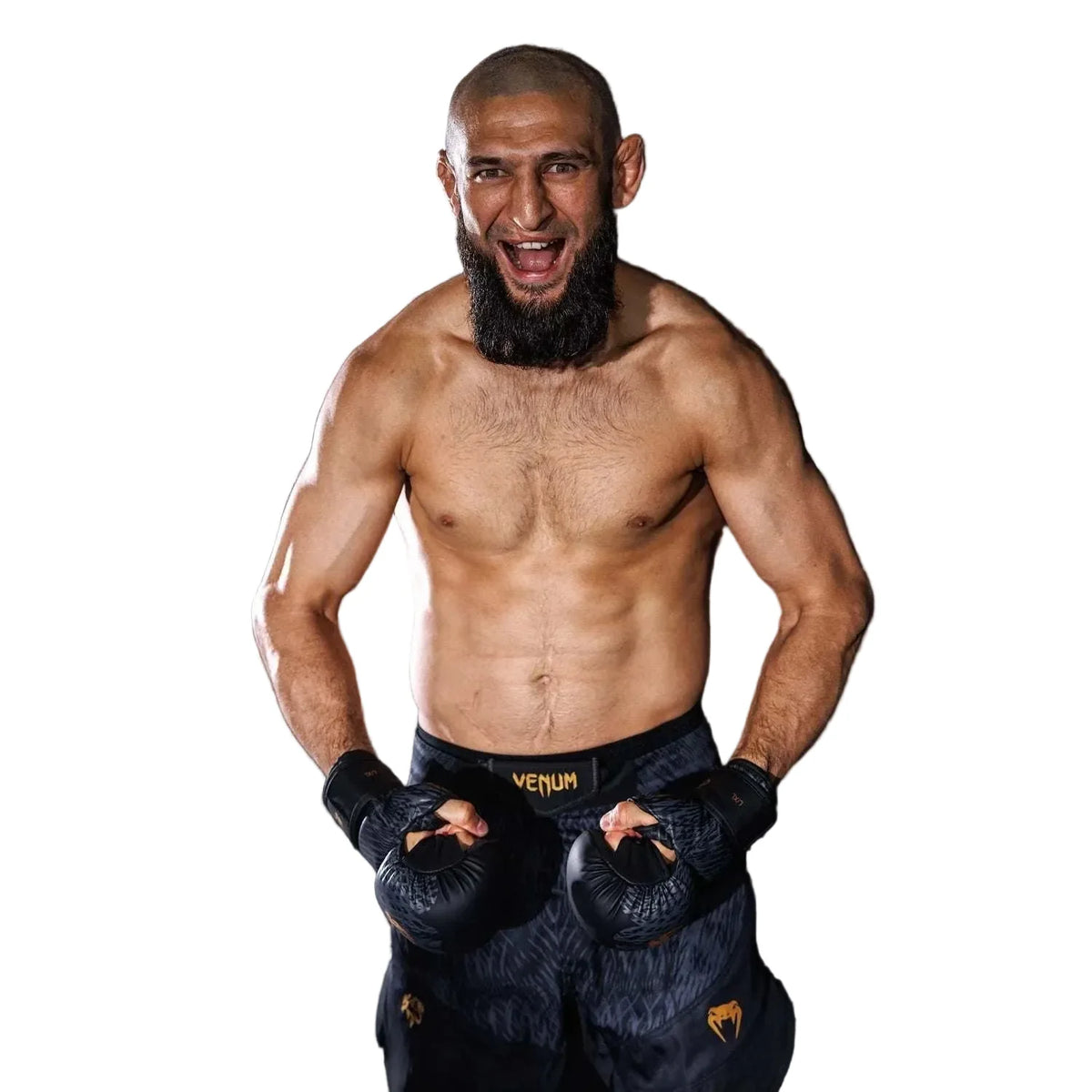 Fightshorts Wild Borz Venum x Chimaev noir et gris pour MMA et sports de combat