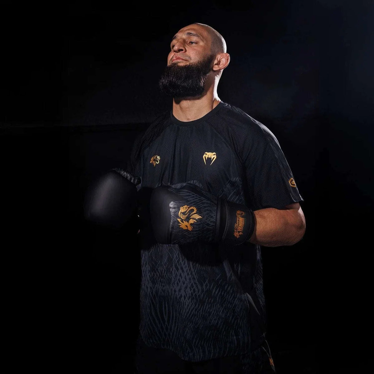 Gants de boxe Venum x Chimaev Wild Borz noir et or édition limitée en cuir premium
