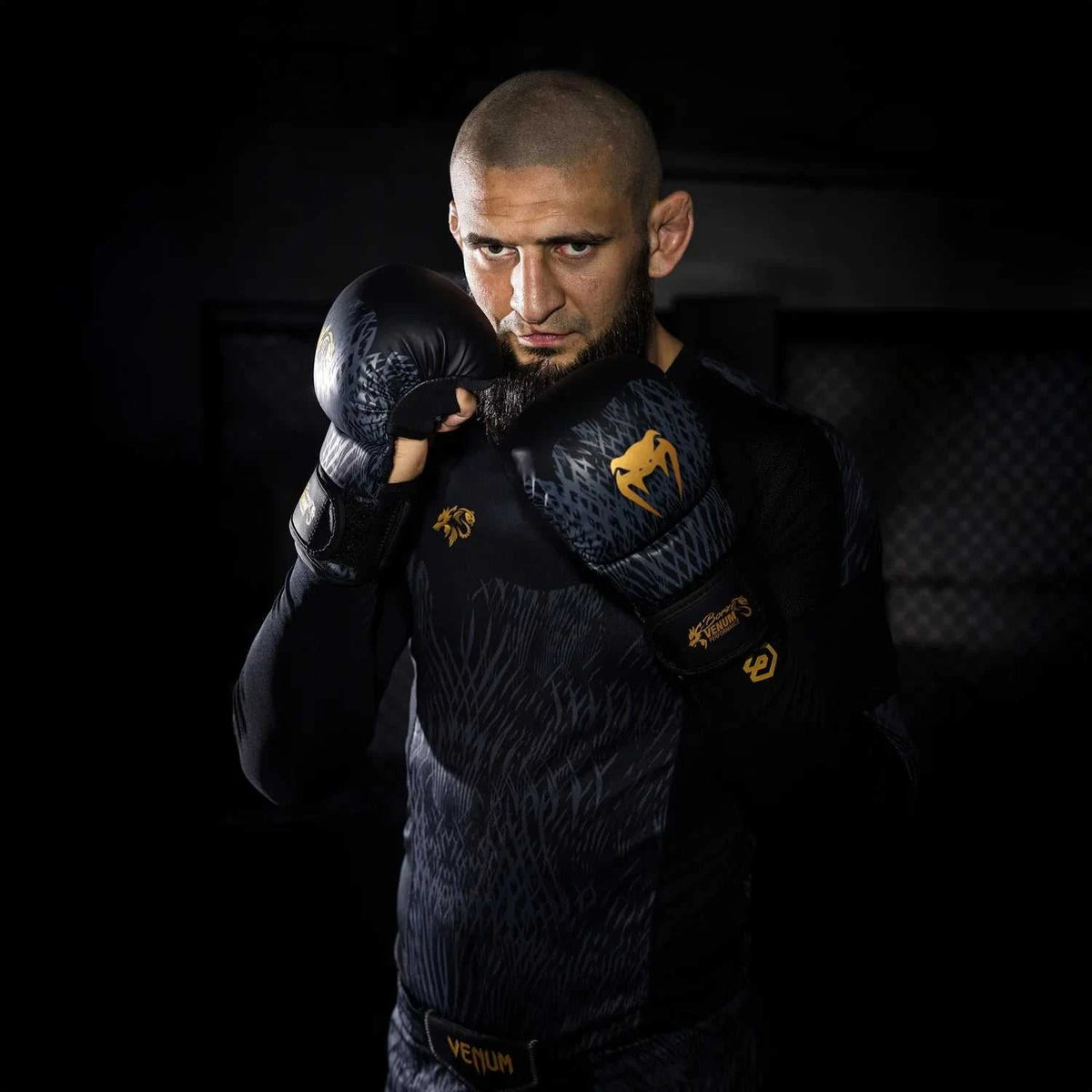 Gants de sparring Venum noir et or design Wild Borz inspiré par Khamzat Chimaev en cuir premium