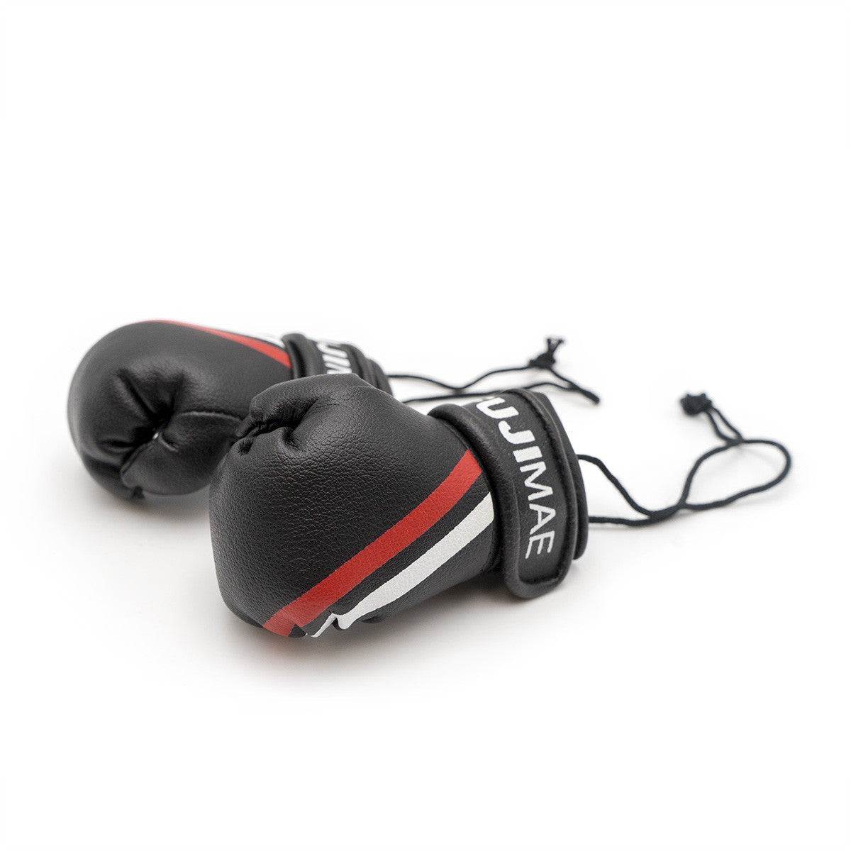 Mini gants de Boxe FUJIMAE détail