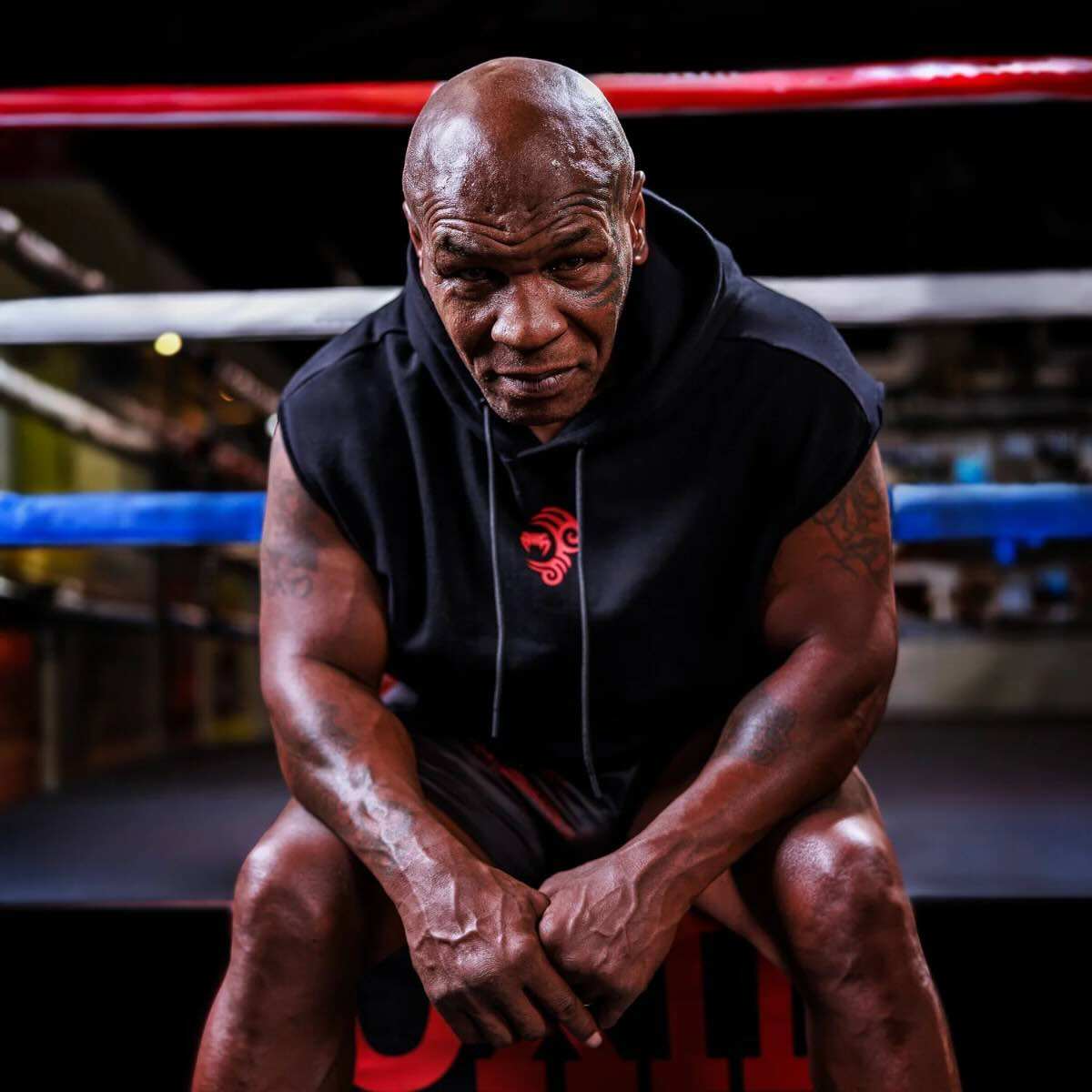 Sweat à capuche sans manches Venum x Mike Tyson Tiger noir pour entraînement intense