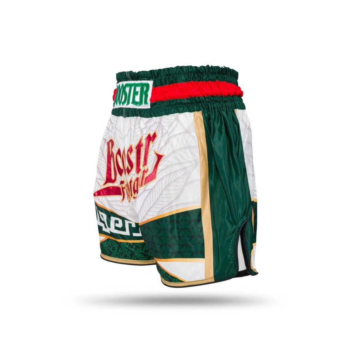Muay Thai shorts with Algeria-inspired design, satin fabric, elastic waist, and Booster Fight Gear logo patch.