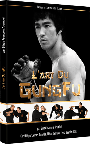 L'art du Gung-Fu - VP Masberg (Livre)